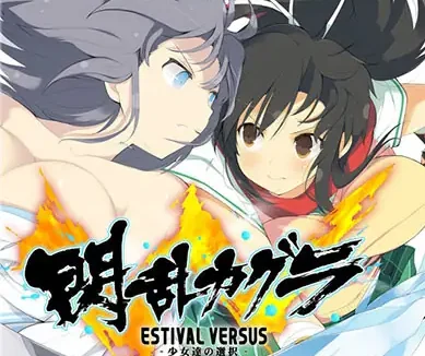 psv 闪乱神乐少女们的选择 DLC （日版/港版/美版）