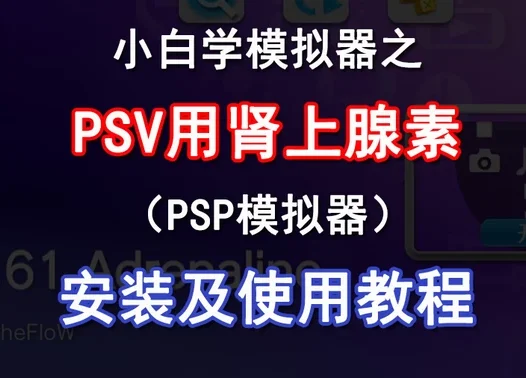 PSV肾上腺素使用教程(PSV上的PSP模拟器）