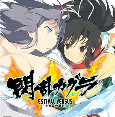 psv 闪乱神乐少女们的选择 DLC （日版/港版/美版）