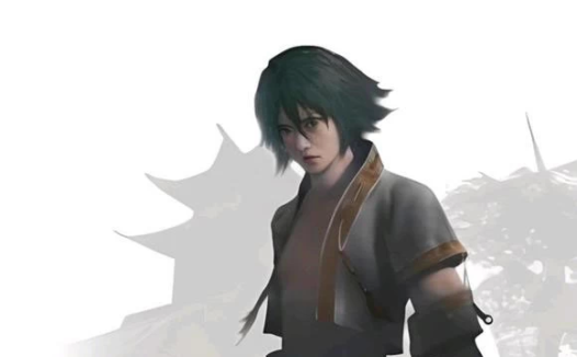 psv移植游戏《流星蝴蝶剑》正式版1.0