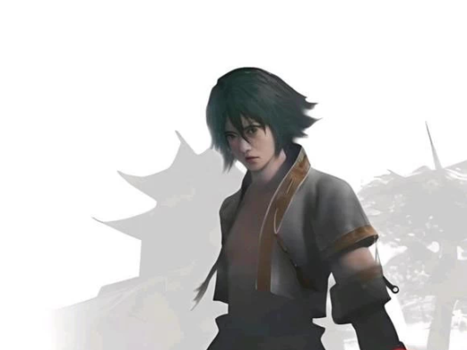 psv移植游戏《流星蝴蝶剑》正式版1.0